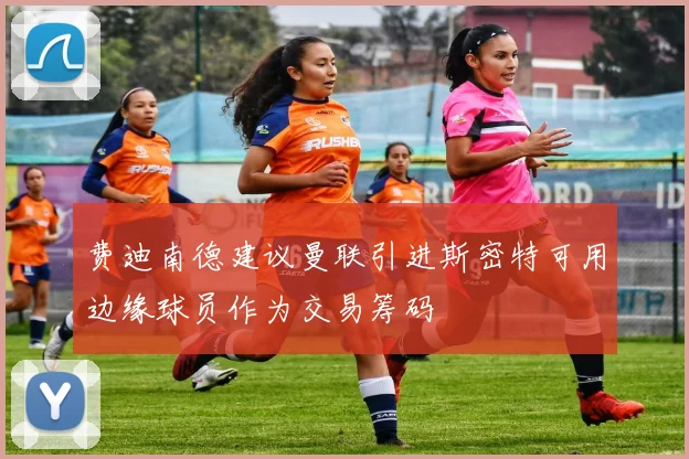 费迪南德建议曼联引进斯密特可用边缘球员作为交易筹码